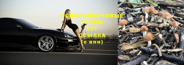 гидра Арсеньев