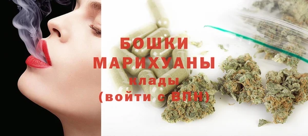 гидра Арсеньев