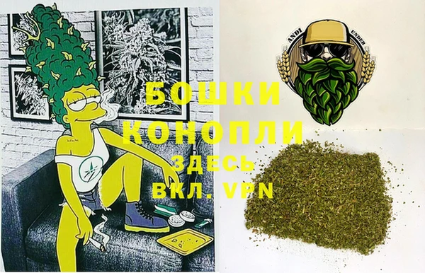сатива Армянск