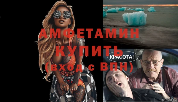 сатива Армянск