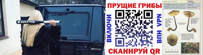 Псилоцибиновые грибы мухоморы  МЕГА ссылка  даркнет какой сайт  Мариинск 